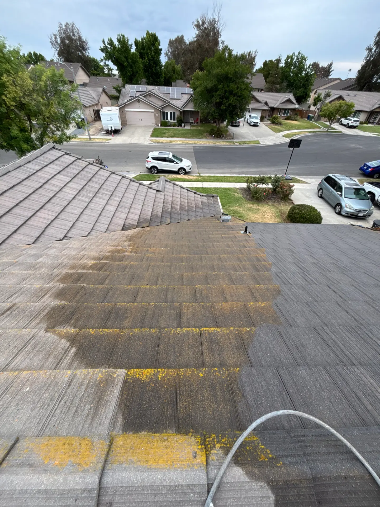 Composition roof mid soft-wash, with a clear line between moss-and-algae-stained shingles and the cleaned section