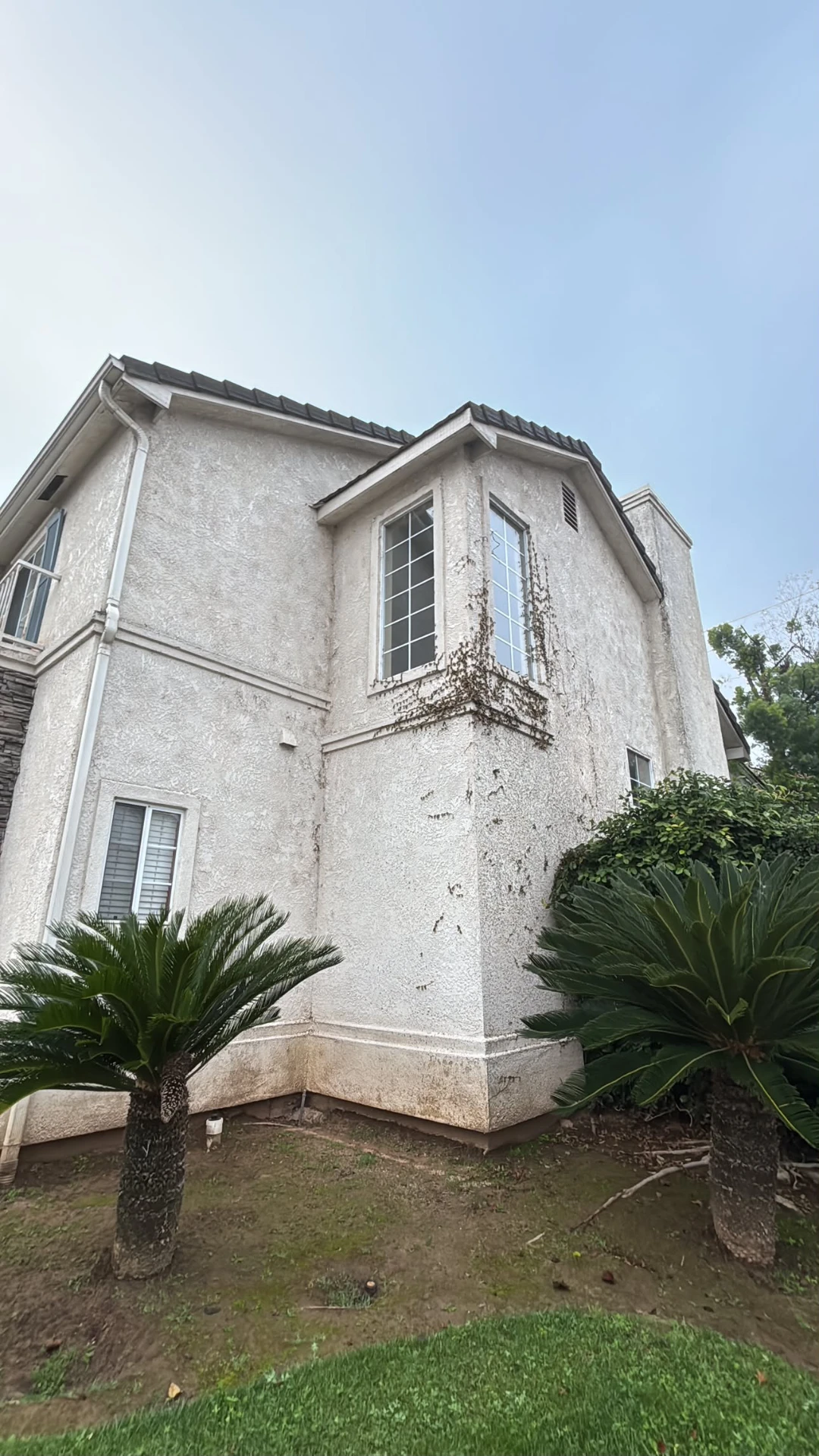 Two-story stucco home corner with dirt, vine growth, and staining across the wall before a full house wash