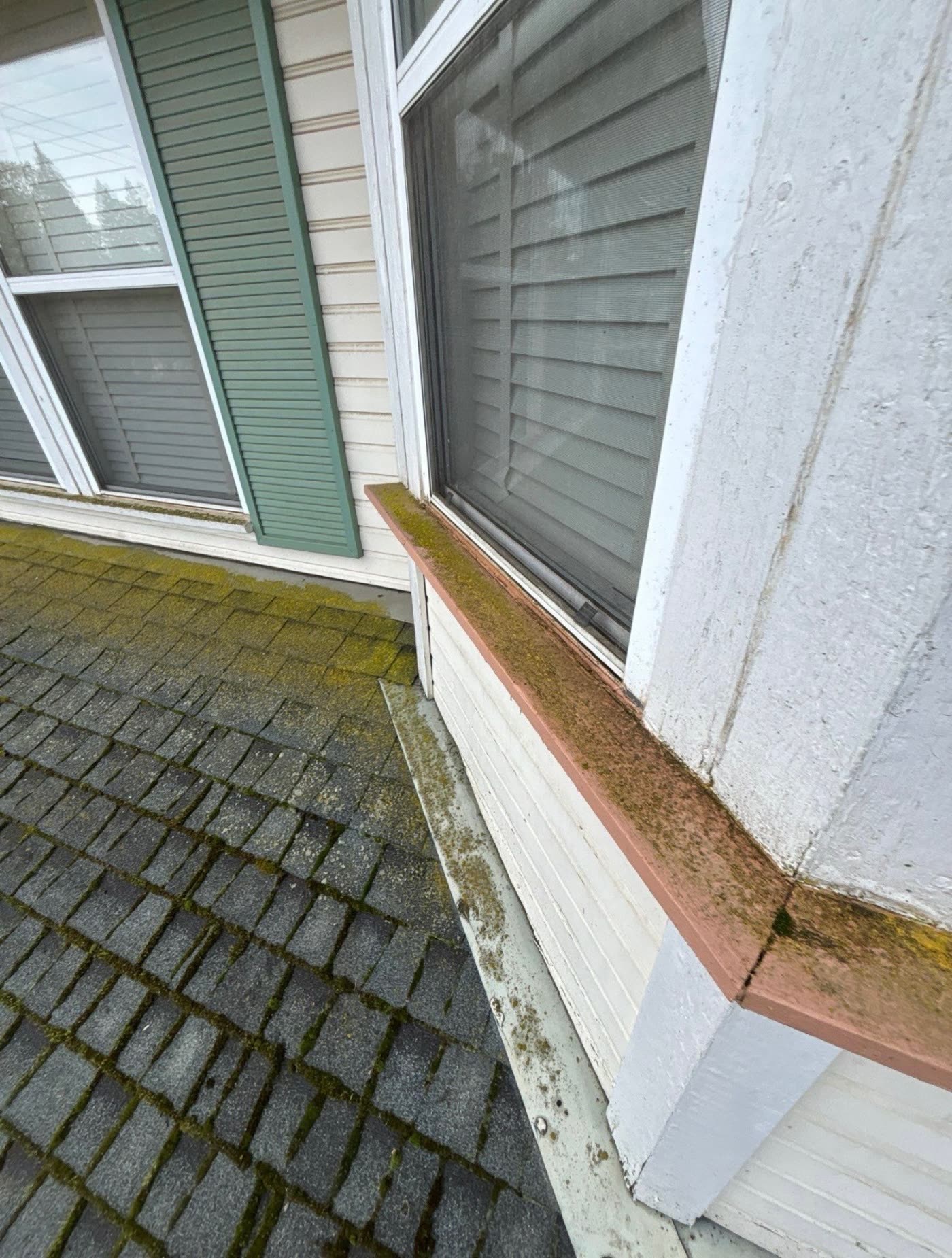 Mossy roof shingles alongside a second-story window and painted trim before cleaning