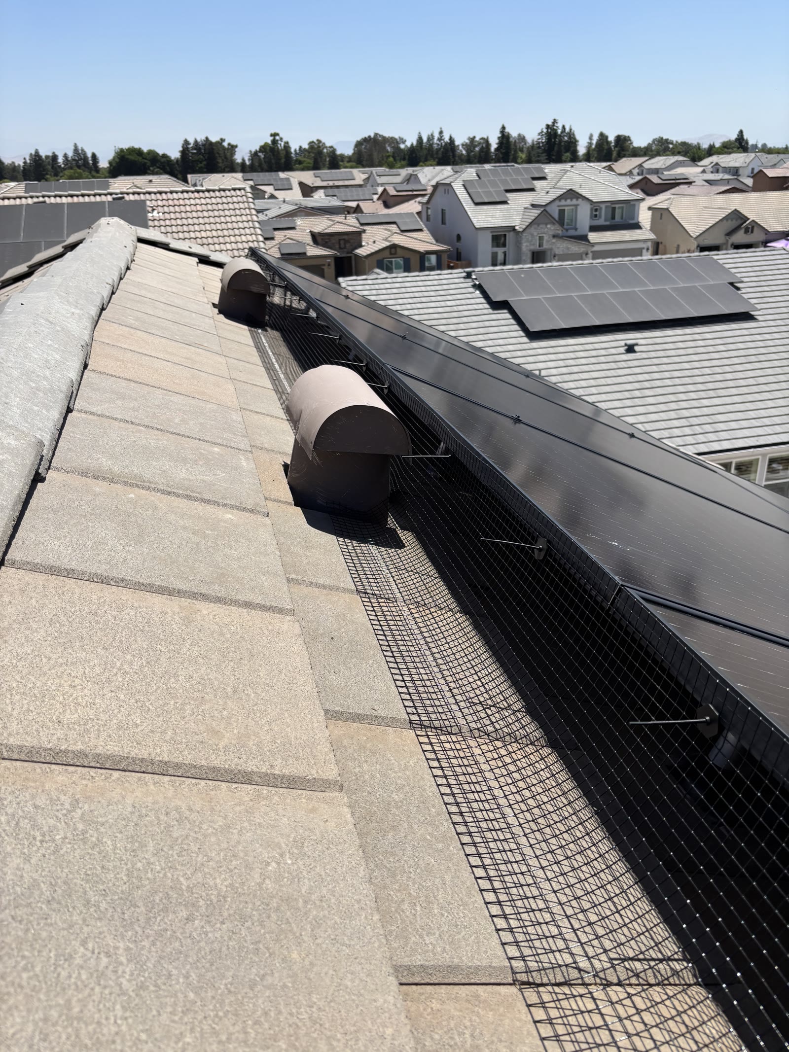 A close view of bird proofing mesh clipped along the lower edge of a rooftop solar array