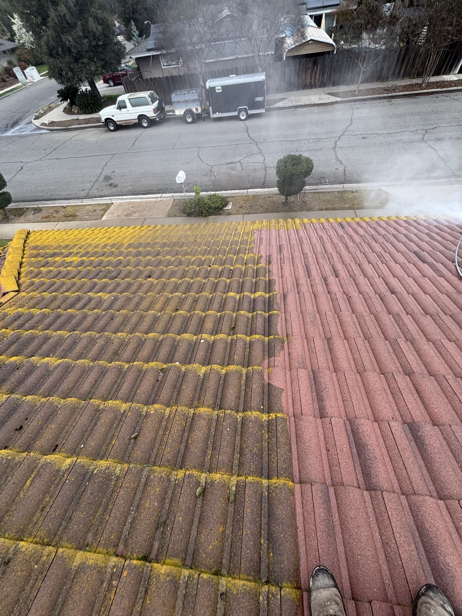 A tile roof mid-clean, moss-covered on one side and clean terracotta on the other